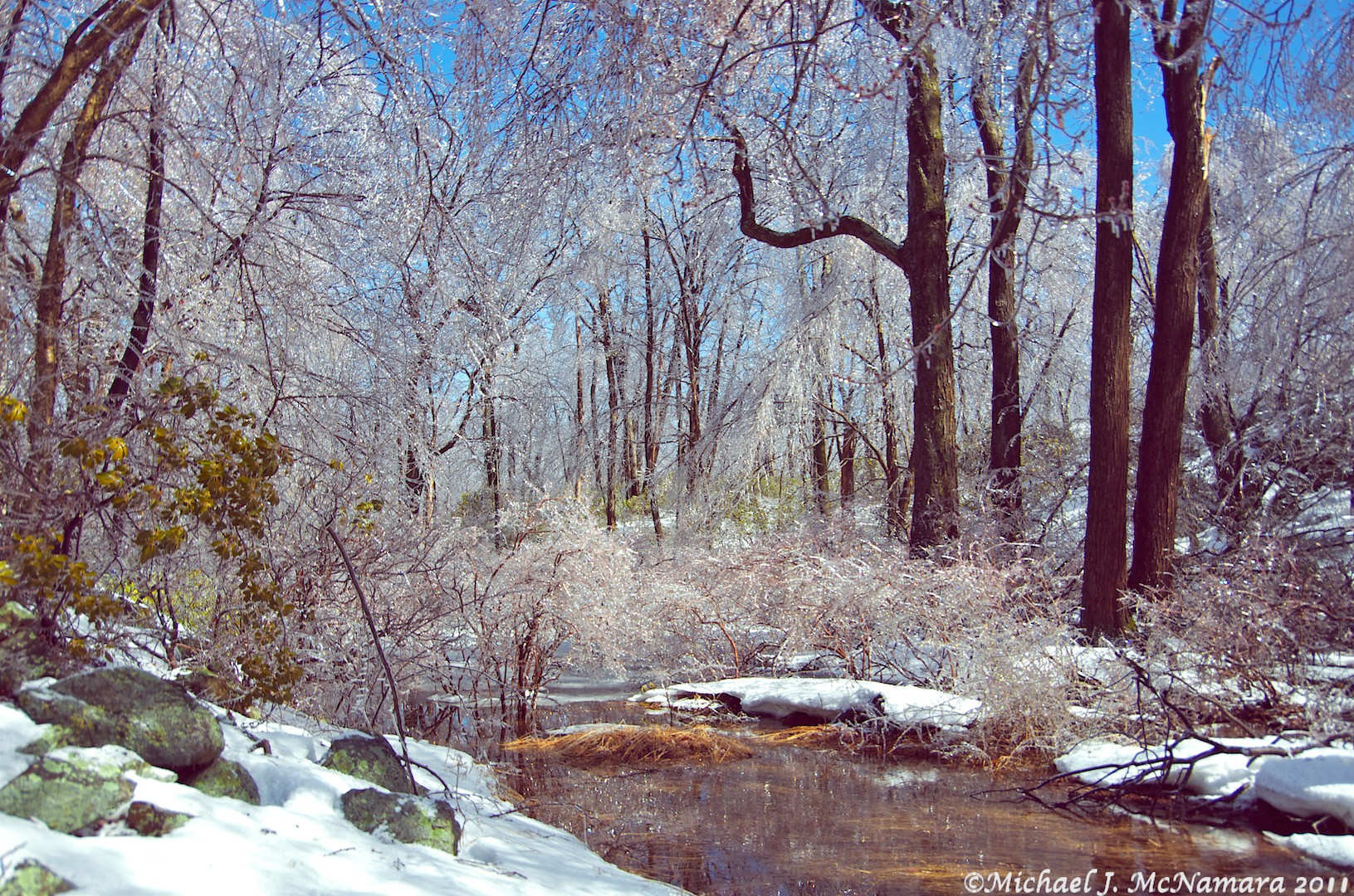 Ice storm width=