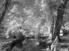 DreamStream8x11