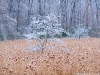 _DSC0066