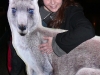 AlexKangaroo